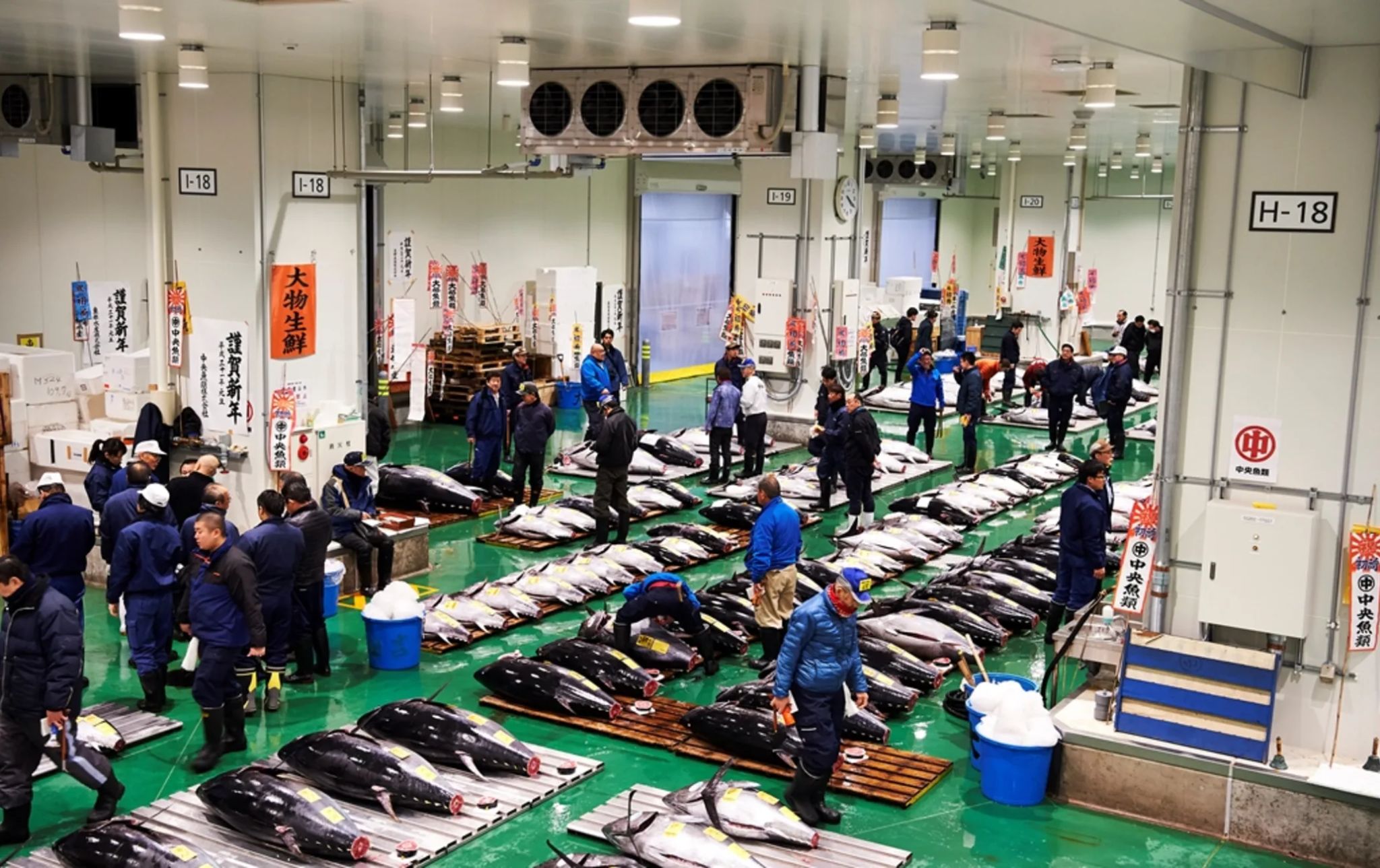 Delivering Japan’s Freshest Catch Worldwide
